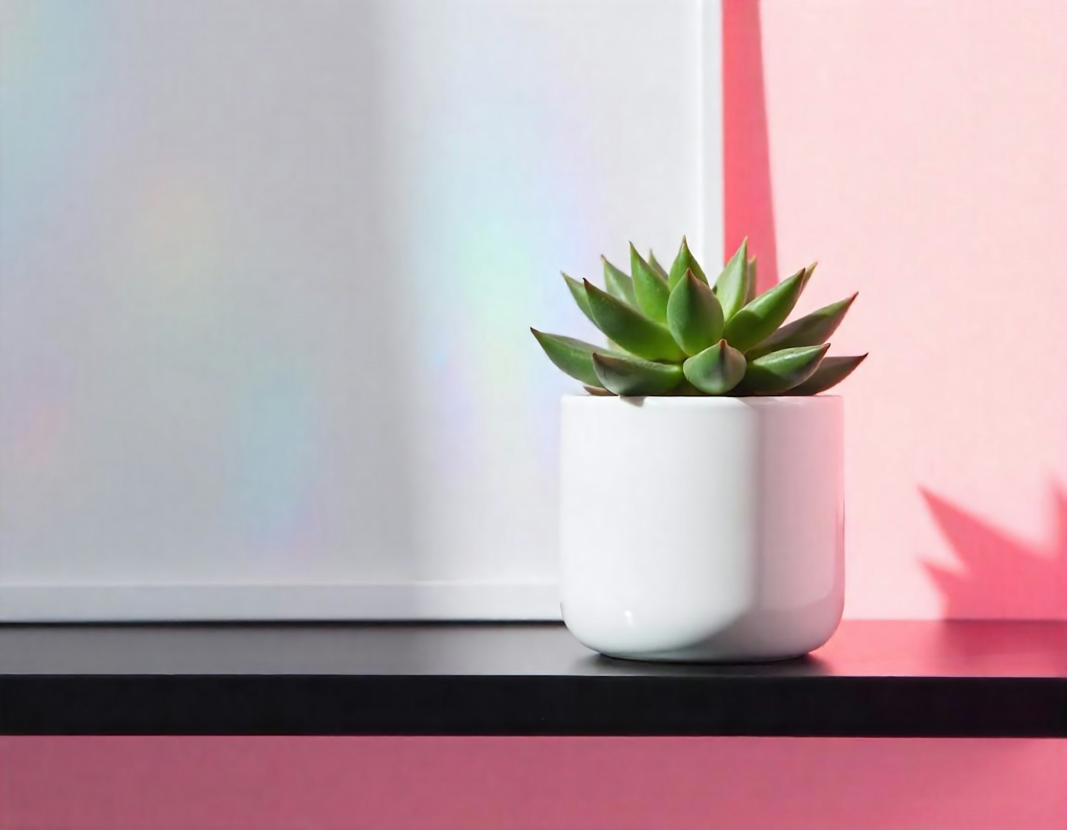 White rounded cube planter holding a green succulent on a black shelf